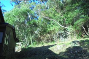 NSW Rural Fire Service – Hazard Reduction Notice – Saratoga NSW