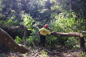 ARV Lady Gowrie Aged Care Village Gordon